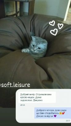изображение_viber_2022-12-13_22-37-17-680